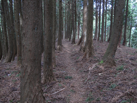 20160121hike (147)